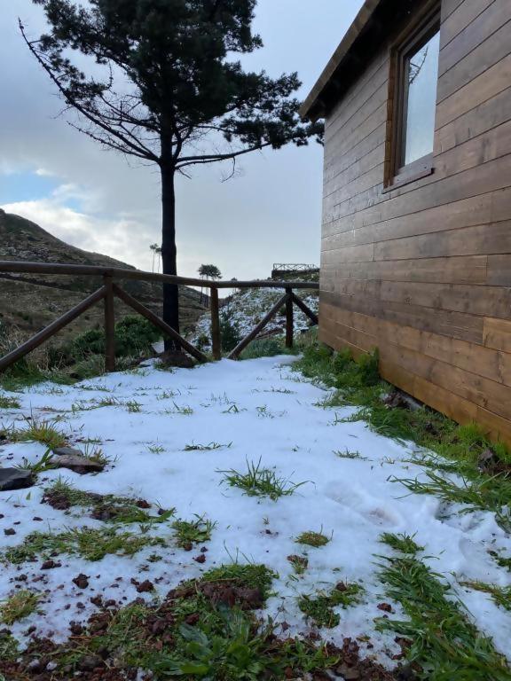 Mountain Eco Shelter 2 Hotel Funchal  Exterior photo